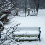 Grudniowe prace w ogrodzie Grudniowe prace w ogrodzie