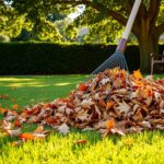 Dlaczego konieczne jest grabienie liści w ogrodzie? grabienie liści w ogrodzie
