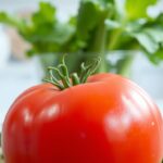 Ile kalorii ma pomidor koktajlowy? Wartości odżywcze i zastosowanie ile kalorii ma pomidor koktajlowy